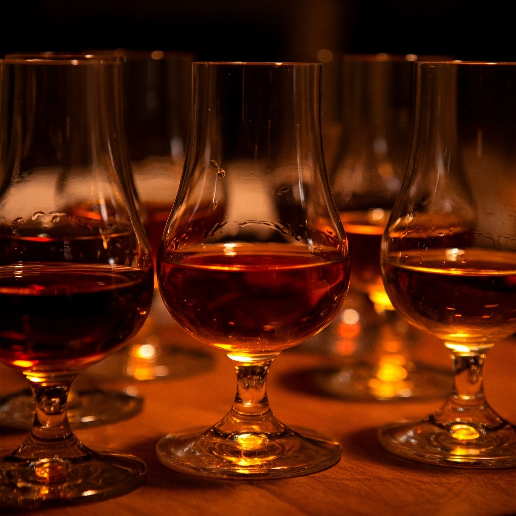 Rum-Sorten: Von Weiß bis Dunkel – Ein Überblick